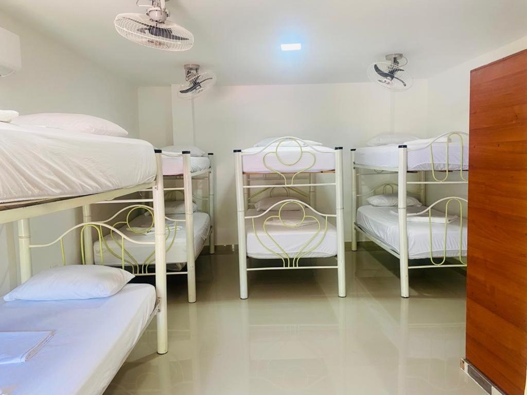 Hostel Green Light ตากังกา ภายนอก รูปภาพ